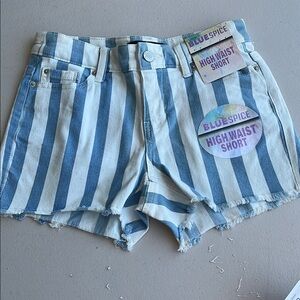 Blue Spice Denim Striped Shorts